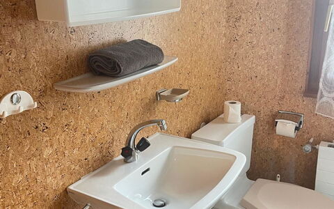Allalinblick: Plumbing Fixture, Bathroom Sink, Sink, Plumbing, Floor, Flooring, Bathroom, Tap, Toilet Seat, Toilet