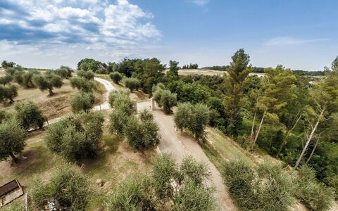 Villa Larino: Tree, Vegetation, Natural Landscape, Plant Community, Land Lot, Plain, Trail, Field, Soil