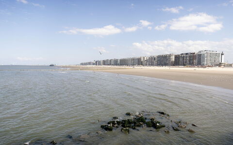 Centrally Located Sea You Again: Daytime, Water, Horizon, Coast, Sea, Beach, Landscape, Coastal And Oceanic Landforms, Shore, Ocean