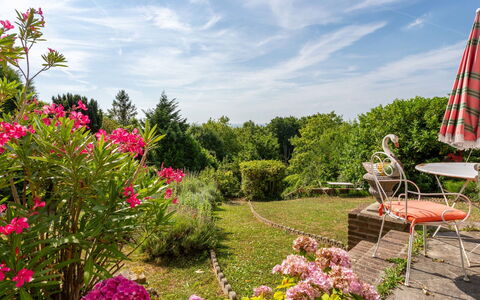 Maison Rose: Flower, Green, Garden, Vegetation, Shrub, Pink, Plant Community, Spring, Groundcover