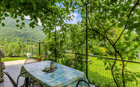 Casa Iolanda: Furniture, Chair, Outdoor Table, Outdoor Furniture, Kitchen & Dining Room Table, Garden, Eco Hotel, Shade, Yard, Backyard