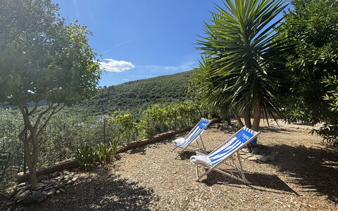 Il Fienile, Garden and Peacefull View: Shrub, Garden, Flowerpot, Landscaping, Shade, Botanical Garden, Outdoor Furniture, Walkway, Eco Hotel