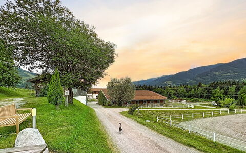 Kaprun 614: Mountainous Landforms, Grass, Hill, Mountain, Landscape, Rural Area, Highland, Mountain Range, Land Lot, Plain