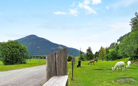 Kaprun 614: Mountainous Landforms, Grass, Green, Hill, Mountain, Grassland, Natural Landscape, Highland, Landscape, Pasture