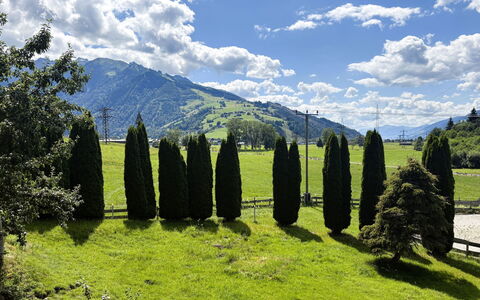 Kaprun 614: Mountainous Landforms, Green, Tree, Natural Environment, Nature, Grass, Hill, Natural Landscape, Highland, Mountain