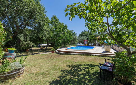 Helena: Tree, Garden, Shade, Lawn, Landscaping, Backyard, Yard, Estate, Park, Hacienda