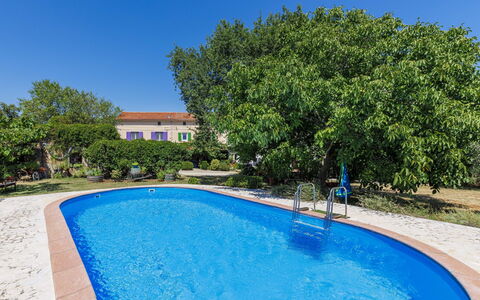 Helena: Blue, Swimming Pool, Shade, Leisure, Garden, Backyard, Landscaping, Estate, Hacienda, Yard