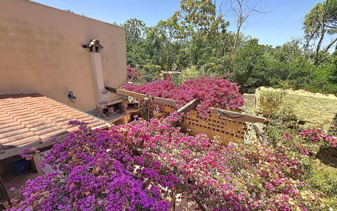 Villa Siria: Furniture, Interior Design, Flooring, Floor, Table, Wood, Ceiling, Chair, Room, Couch