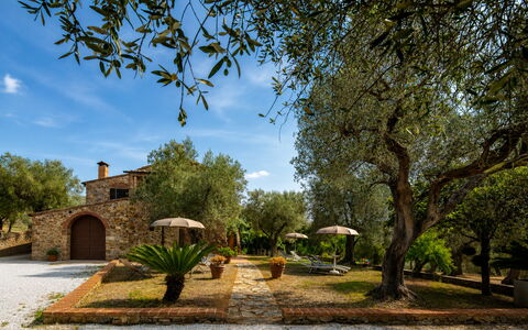 Casale delle Lupe, Campiglia Marittima: Garden, Estate, Hacienda, Landscaping, Farmhouse, Yard, Villa, Shade, Backyard, Driveway