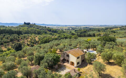 Casale delle Lupe, Campiglia Marittima: Tree, Grass, Natural Landscape, Landscape, Rural Area, Grassland, Land Lot, Plain, Plant Community