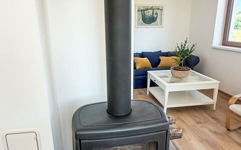 Horní Líšnice: Wood-Burning Stove, Hearth, Hardwood, Wood Stain, Living Room, Home Appliance, Stove, Wood Flooring, Fireplace