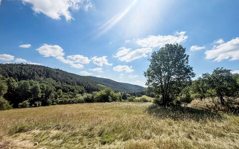 Horní Líšnice: Sky, Blue, Daytime, Grass, Green, Natural Environment, Nature, Cloud, Natural Landscape, Vegetation