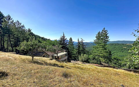 La Bergerie de Portes: Tree, Natural Environment, Leaf, Landscape, Hill, Land Lot, Plant Community, Rural Area, Forest, Hill Station