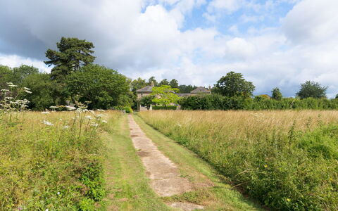 Walltree House: Grass, Tree, Green, Vegetation, Grassland, Natural Landscape, Shrub, Summer, Plain