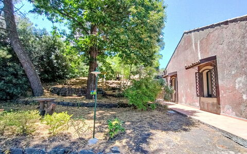 Il Giardino di Lara: Tree, Leaf, Branch, Vegetation, Shrub, Shade, Garden, Woody Plant, Landscaping
