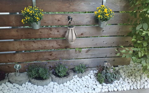 Bergzeit: Flowerpot, Garden, Houseplant, Plank, Floristry, Fence, Home Fencing, Backyard, Hardwood, Herb
