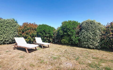 Bois et Lumière: Green, Leaf, Shrub, Garden, Land Lot, Groundcover, Hedge, Lawn, Shade