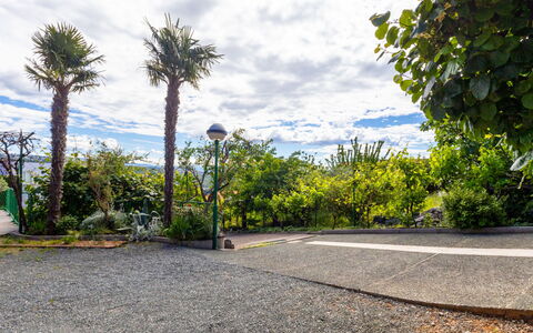 Duema: Shrub, Garden, Residential Area, Plant Community, Land Lot, Groundcover, Landscaping, Backyard, Yard