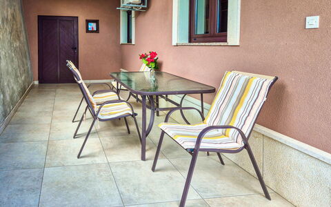 Duema: Shrub, Garden, Residential Area, Plant Community, Land Lot, Groundcover, Landscaping, Backyard, Yard