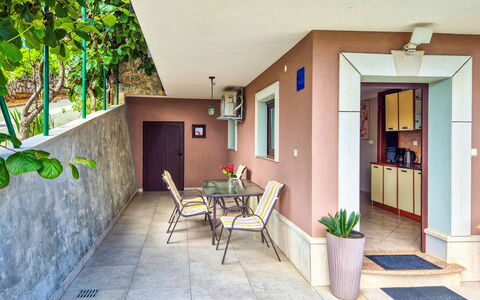 Duema: Shrub, Garden, Residential Area, Plant Community, Land Lot, Groundcover, Landscaping, Backyard, Yard