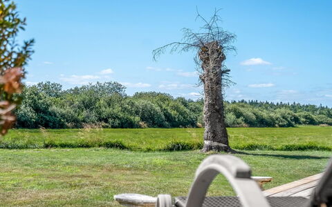 Tameran - from the Sea: Sky, Blue, Grass, Green, Natural Landscape, Grassland, Plain, Cloud, Landscape
