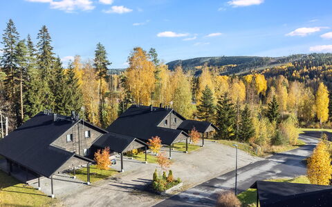 Golfarinkunnas 6A: Tree, House, Cottage, Home, Roof, Larch, Siding, Log Cabin, Woodland, Winter