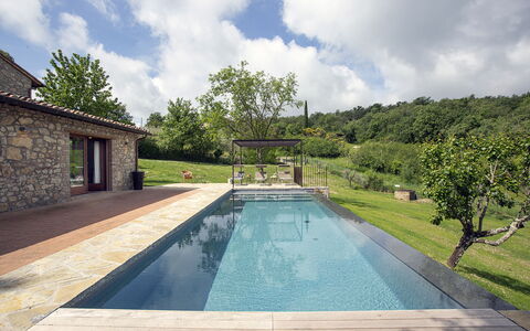 Casa Pernice: Swimming Pool, Composite Material, Water Feature, Flagstone, Landscaping, Tile, Backyard, Walkway