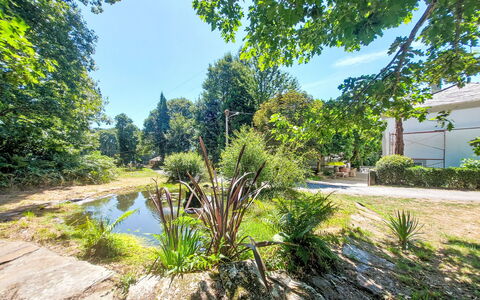 Pizarra: Vegetation, Shrub, Garden, Groundcover, Sunlight, Woody Plant, Pond, Shade, Landscaping, Botanical Garden
