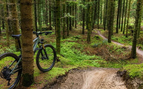 Henri - 700M from the Sea: Bicycle, Bicycle Wheel, Mountain Biking, Forest