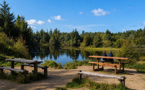 Henri - 700M from the Sea: Nature Reserve, Reservoir, Pond, Riparian Zone, Marsh, Reflection