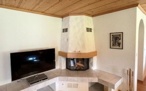 Lenk 755: Interior Design, Wood, Flooring, Floor, Furniture, Hearth, Ceiling, Room, Living Room, Television