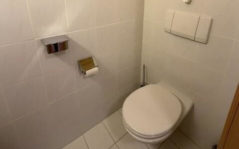 Lenk 755: Toilet Seat, Toilet, Wall, Bathroom, Flooring, Floor, Plumbing Fixture, Tile, Interior Design, Plumbing