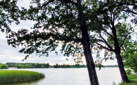 Trebon 1: Water Resources, Water, Body Of Water, Green, Nature, Natural Environment, Leaf, Branch, Natural Landscape, Vegetation