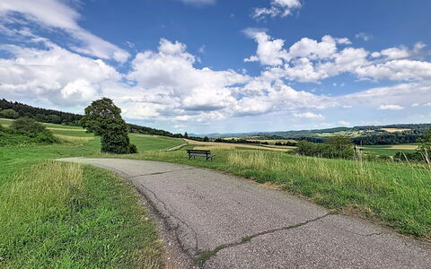 Bionestlein Premium-Appartment mit Sauna: Sky, Blue, Green, Grass, Cloud, Road, Natural Landscape, Road Surface, Grassland