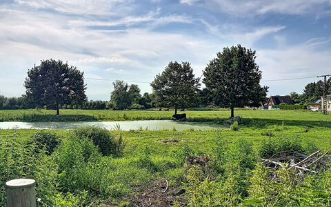 Chrischi: Sky, Grass, Tree, Natural Environment, Nature, Green, Natural Landscape, Vegetation, Cloud