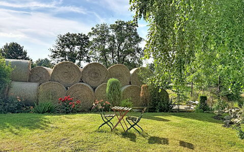 Chrischi: Green, Grass, Shrub, Garden, Lawn, Spring, Shade, Meadow