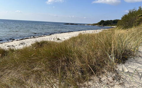 Erich - 500M from the Sea: Coast, Beach, Coastal And Oceanic Landforms, Shore, Sea, Ocean, Sand, Bank, Wind Wave