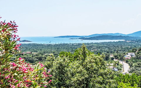 Sainte Lucie Porto Vecchio 650: Balcony, Wood Stain, Houseplant, Outdoor Furniture, Flowerpot