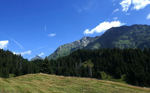 Nido delle Alpi: Sky, Mountain, Blue, Mountainous Landforms, Green, Nature, Natural Environment, Hill, Natural Landscape, Cloud