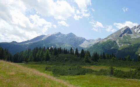 Nido delle Alpi: Sky, Mountain, Mountainous Landforms, Cloud, Green, Nature, Hill, Natural Environment, Grass, Natural Landscape