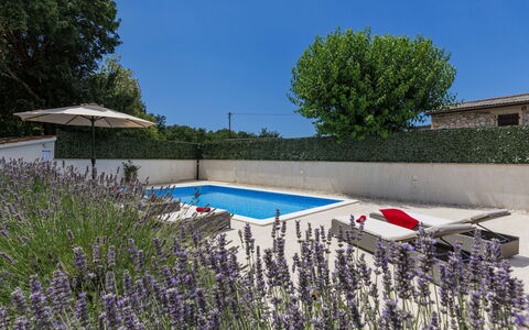 Trošti: Shrub, Garden, Swimming Pool, Landscaping, Flowerpot, Backyard, Yard, Outdoor Furniture, Courtyard