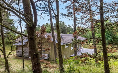 Iivo - 3.5Km from the Sea: Tree, Natural Environment, Wood, Branch, Vegetation, House, Cottage, Shrub, Home, Plant Community