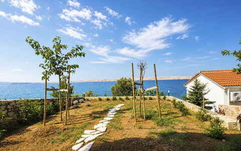 Cvita: Blue, Swimming Pool, Composite Material, Shade, Resort, Estate, Hacienda, Villa, Leisure Centre