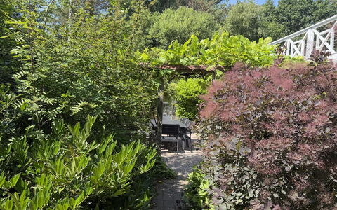 Lonneke - from the Sea: Shrub, Plant Community, Garden, Woody Plant, Landscaping, Backyard, Botanical Garden, Evergreen, Outdoor Furniture