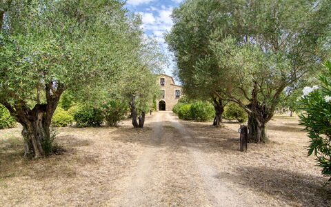 Mas Nualart: Tree, Shrub, Estate, Landscaping, Driveway, Trail, Plantation, Hacienda