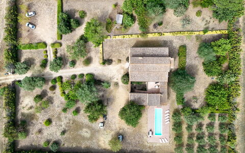 Mas Nualart: Shrub, Landscape, Land Lot, Home, Estate, Rural Area, Garden, Cottage, Plantation, Landscaping