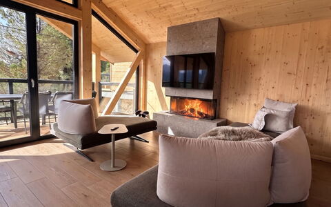 02 Nth050 18A Sup Chalet mit Sauna und Hot Tub 2 e: Wood, Furniture, Hardwood, Wood Flooring, Living Room, Room, Cottage, Log Cabin, Wood Stain, Chair