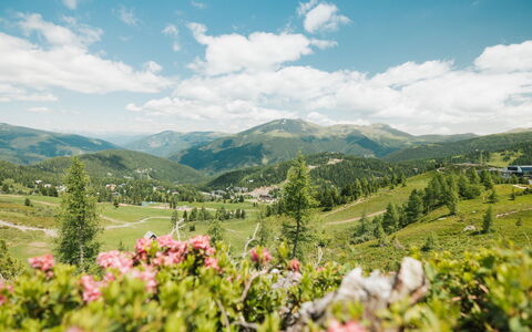 02 Nth055 18F Sup Chalet mit Sauna und Hot Tub 2 e: Mountainous Landforms, Mountain, Green, Nature, Hill, Natural Landscape, Vegetation, Highland, Mountain Range