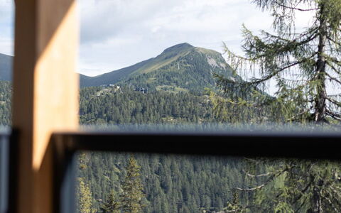 02 Nth030 Sup Chalet mit Sauna und Hot Tub 2 Etage