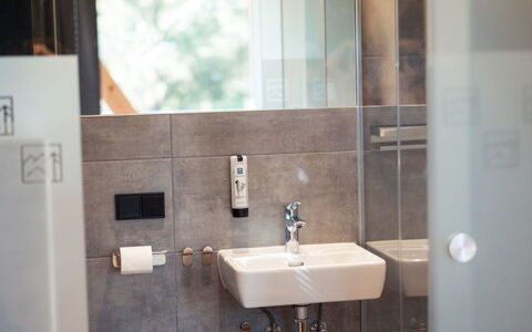 02 Nth030 Sup Chalet mit Sauna und Hot Tub 2 Etage: Interior Design, Bathroom, Wall, Plumbing Fixture, Flooring, Bathroom Sink, Floor, Wood, Sink, Mirror